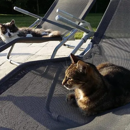 Nocleg ze śniadaniem L'amethyste