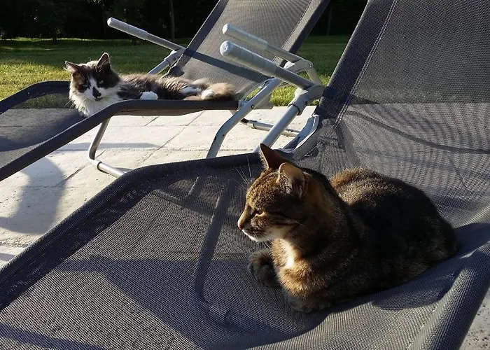 فندق مبيت وإفطار L'amethyste